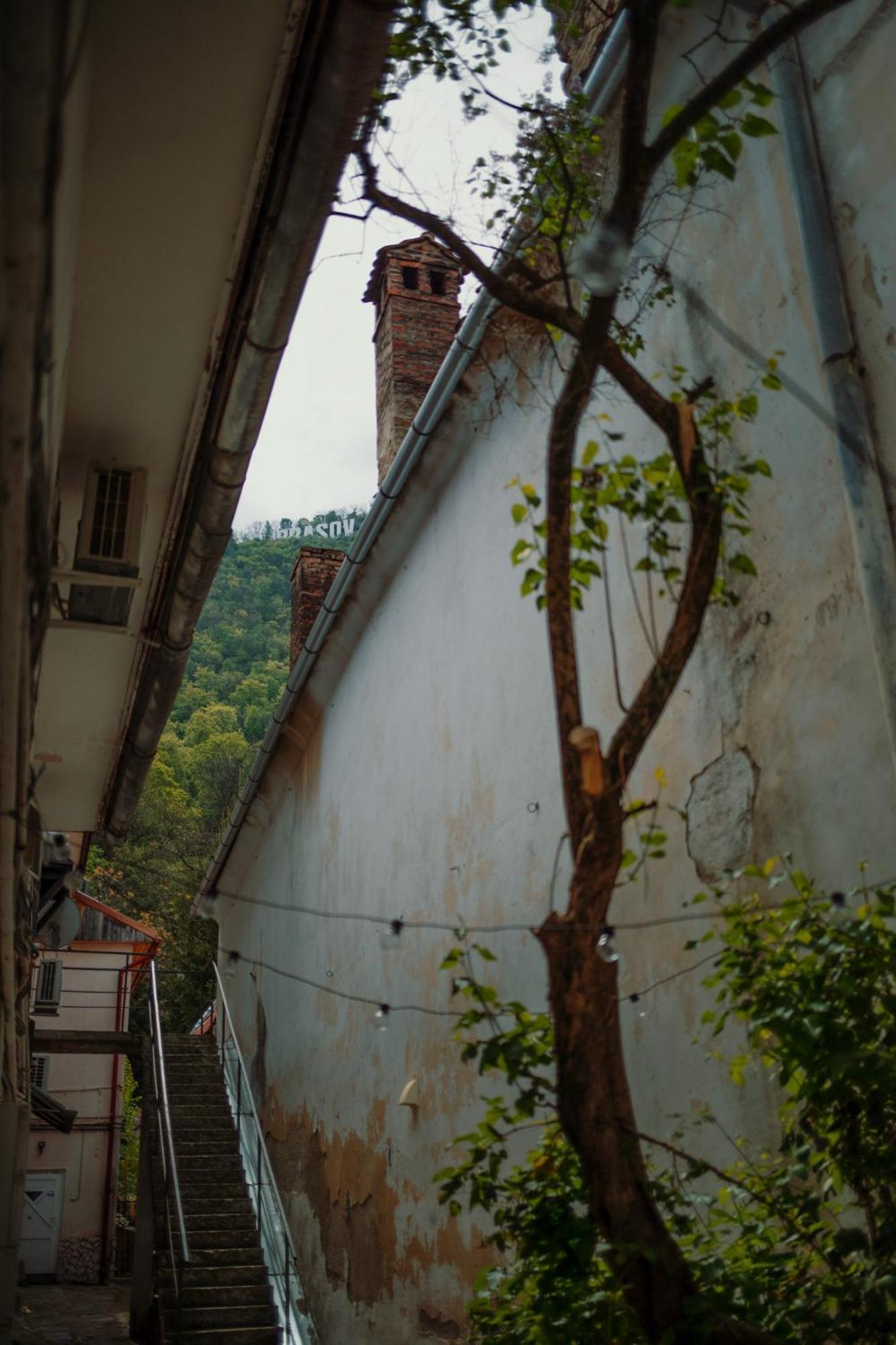3 Min To Everything-Stylish-Modern-Old Fortress Braşov Eksteriør bilde